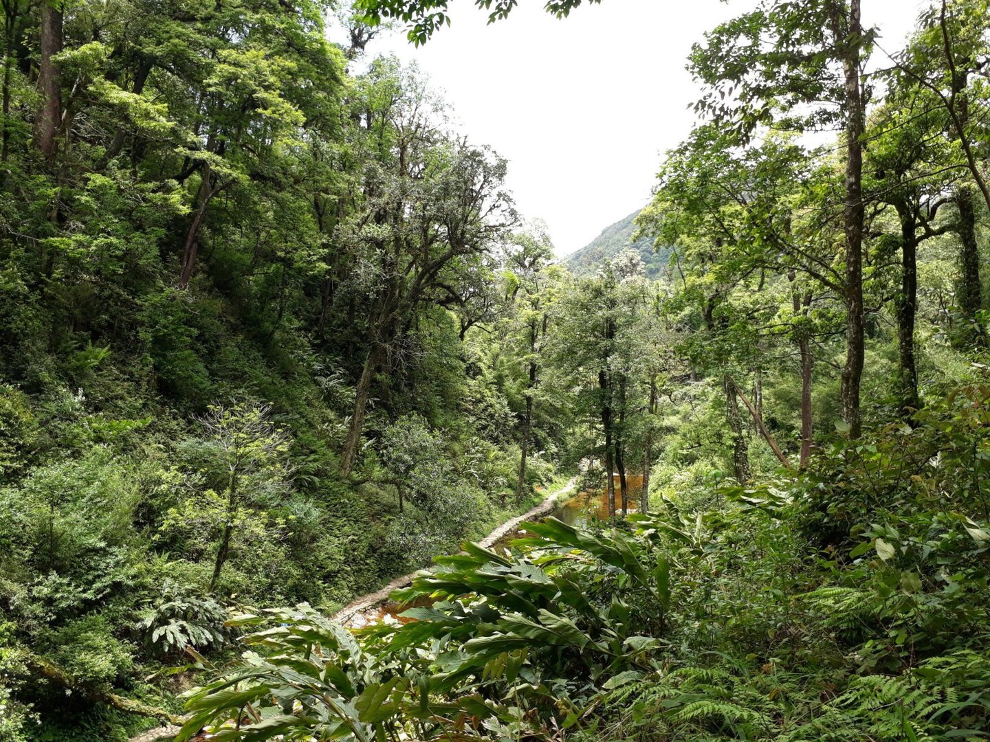 Suối vàng – Thác tình yêu