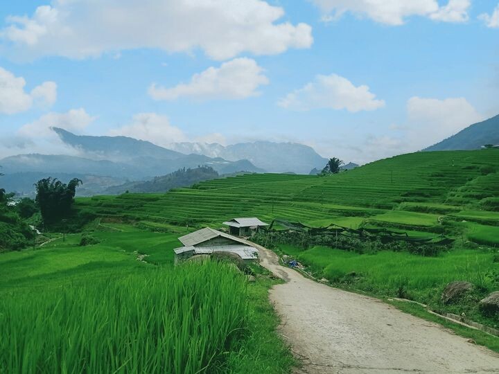 Bản Tả Phìn