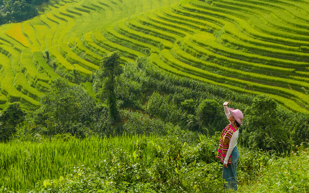 Thung lũng Mường Hoa và Di tích danh thắng Ruộng bậc thang Sa Pa